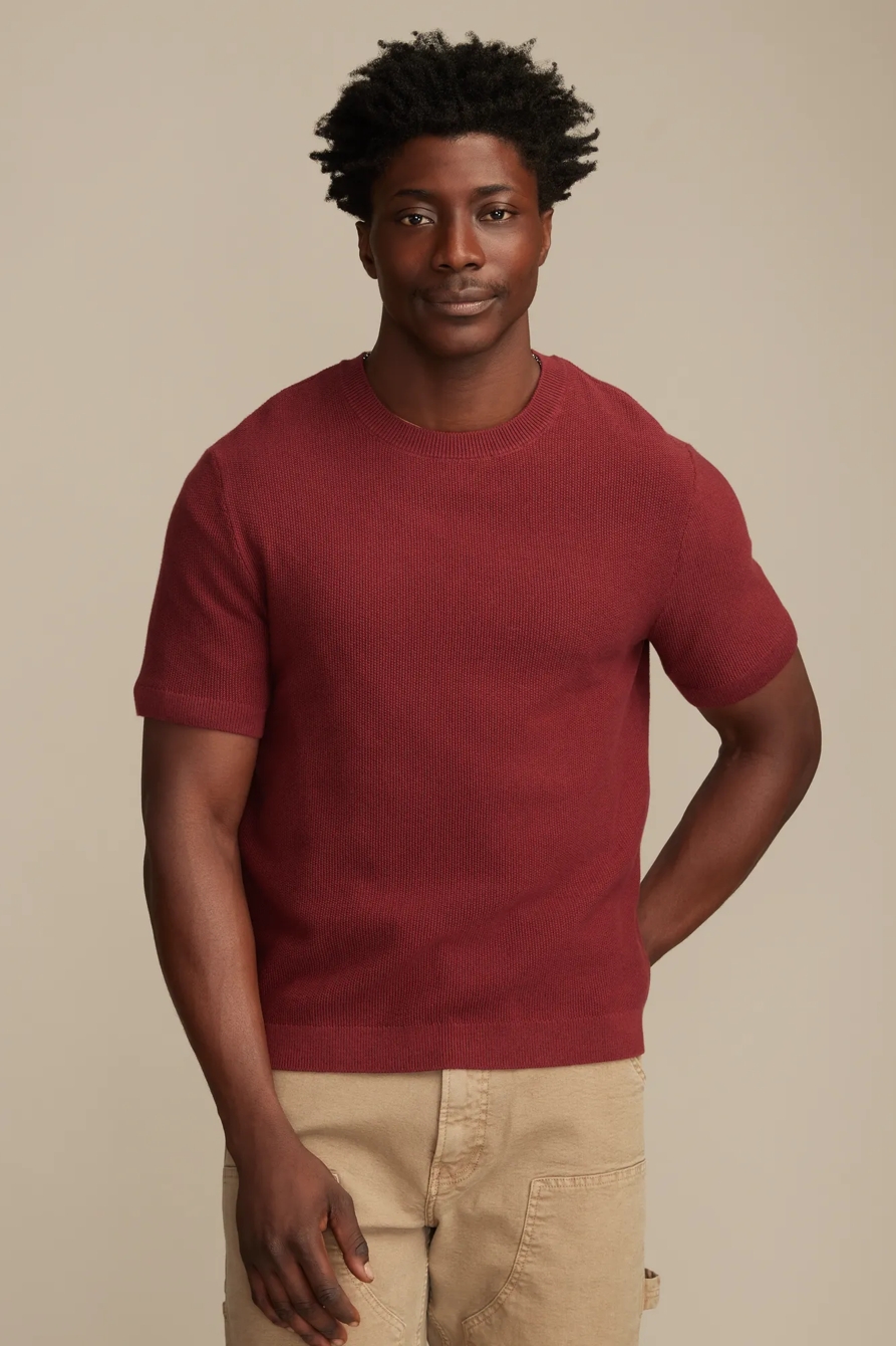 SHORT SLEEVE CREW NECK SWEATER — SYRAH — image 1