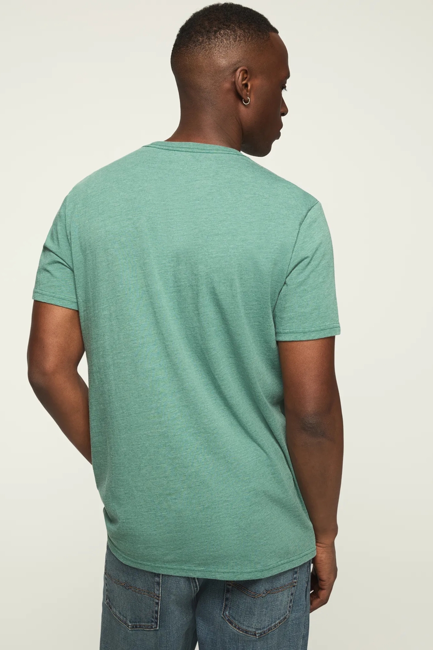 GUINNESS OVAL TEE — POSY GREEN — image 4