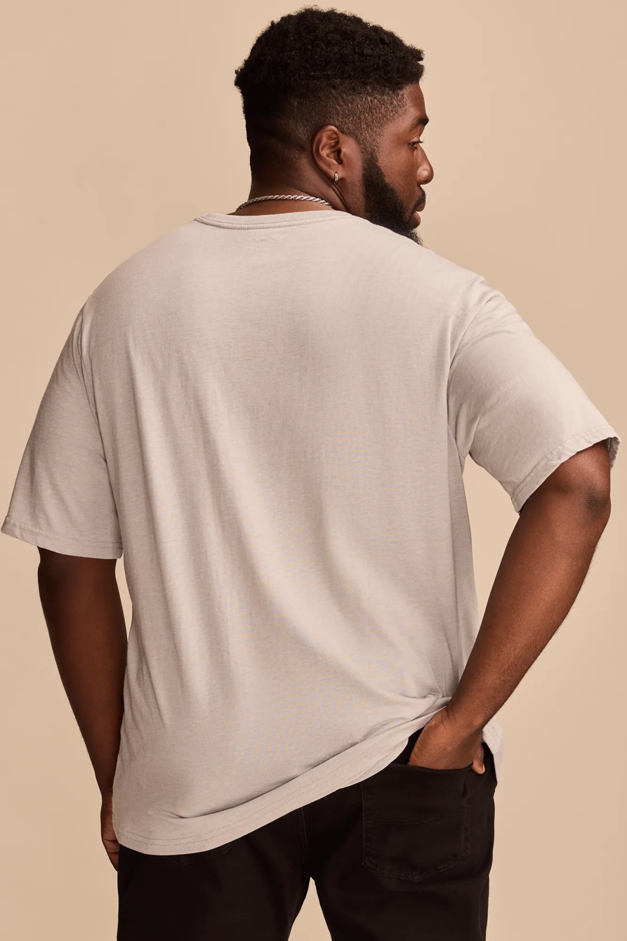 BIG & TALL ST BERNARD TEE — LIMESTONE — image 4