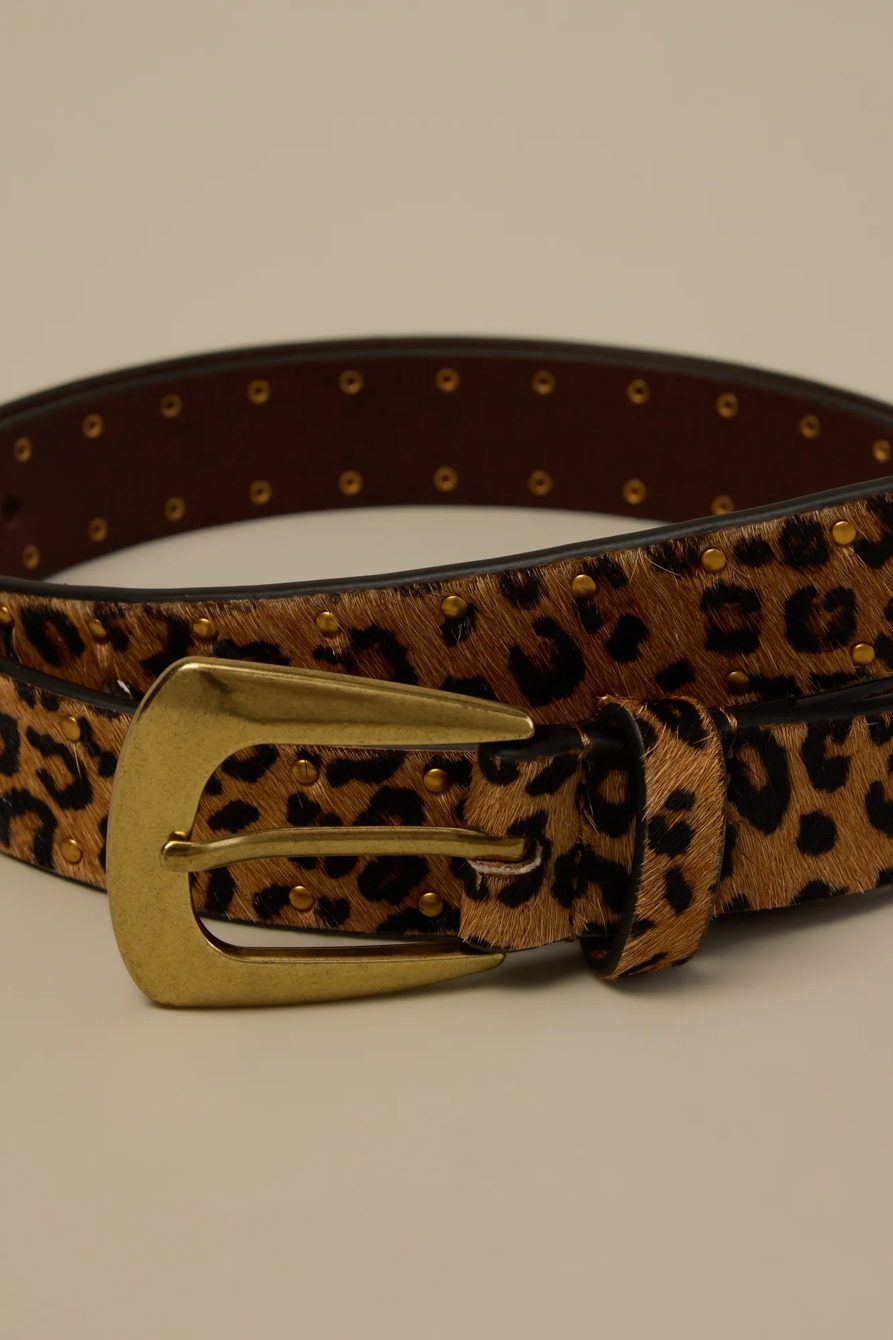 LEOPARD HAIRCALF BELT — Leopard — image 3
