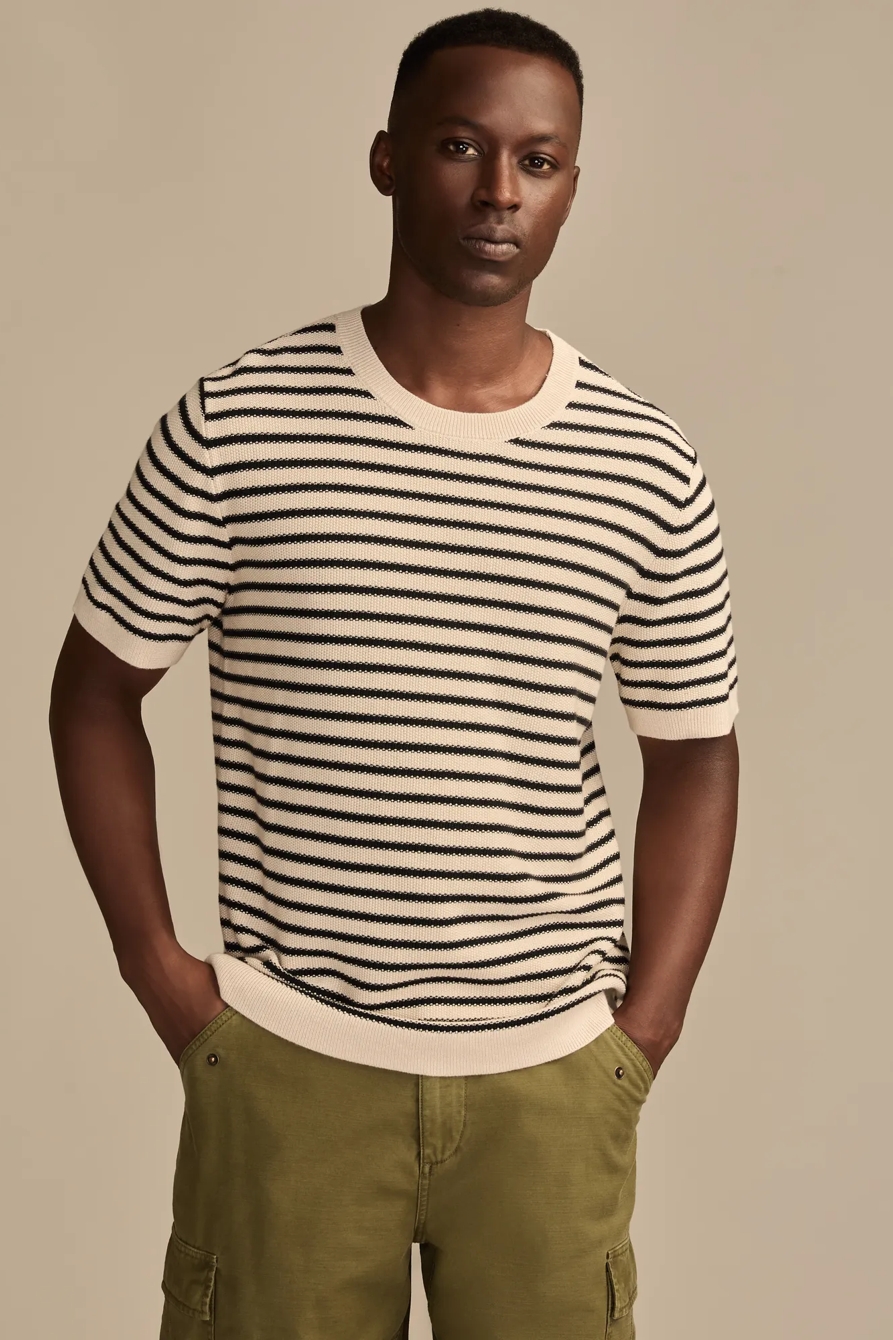 SHORT SLEEVE STRIPE TEXTURED SWEATER CREW — Turtledove — image 1