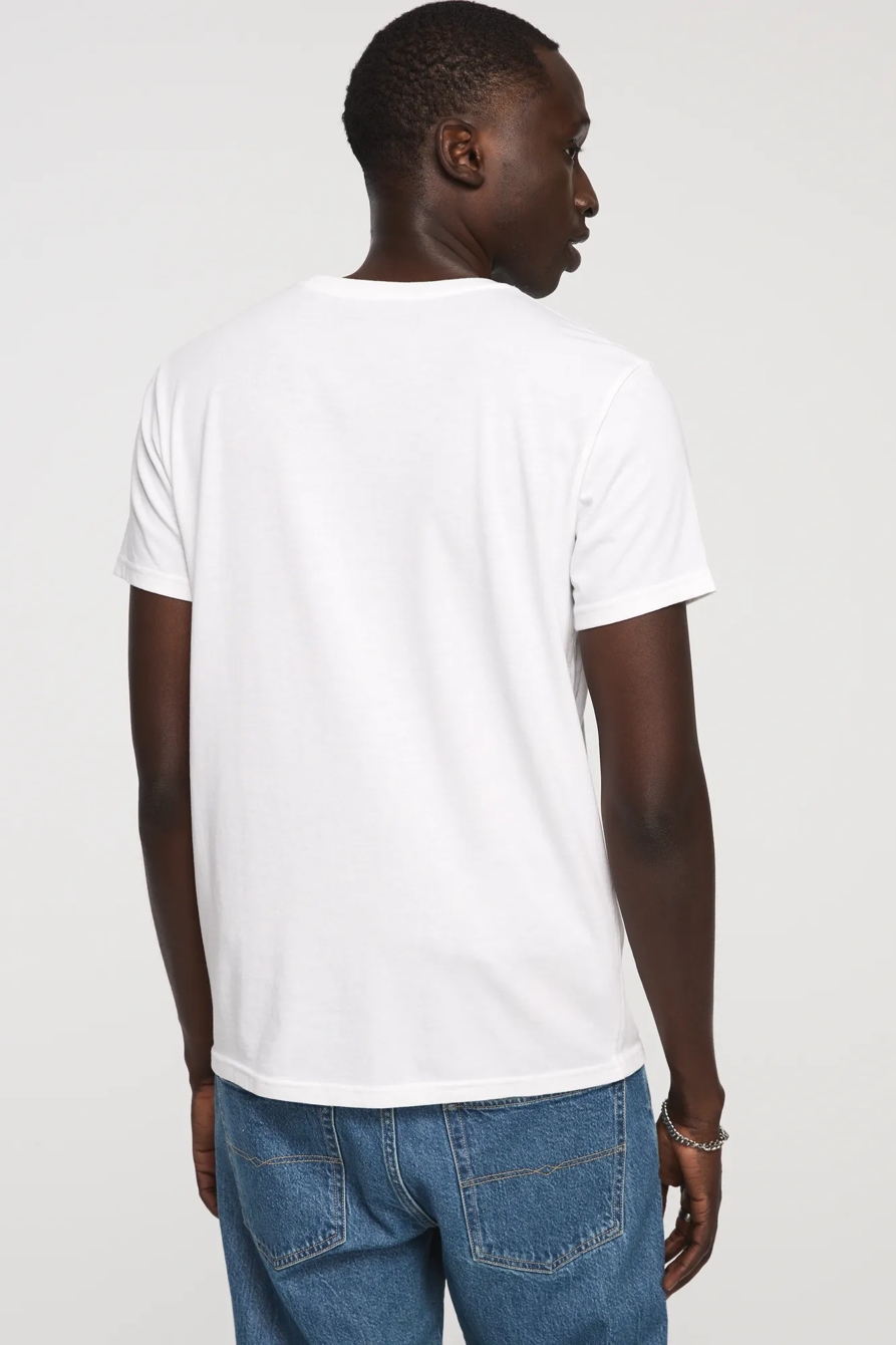 GRATEFUL DEAD BEARS TEE — BRIGHT WHITE — image 4