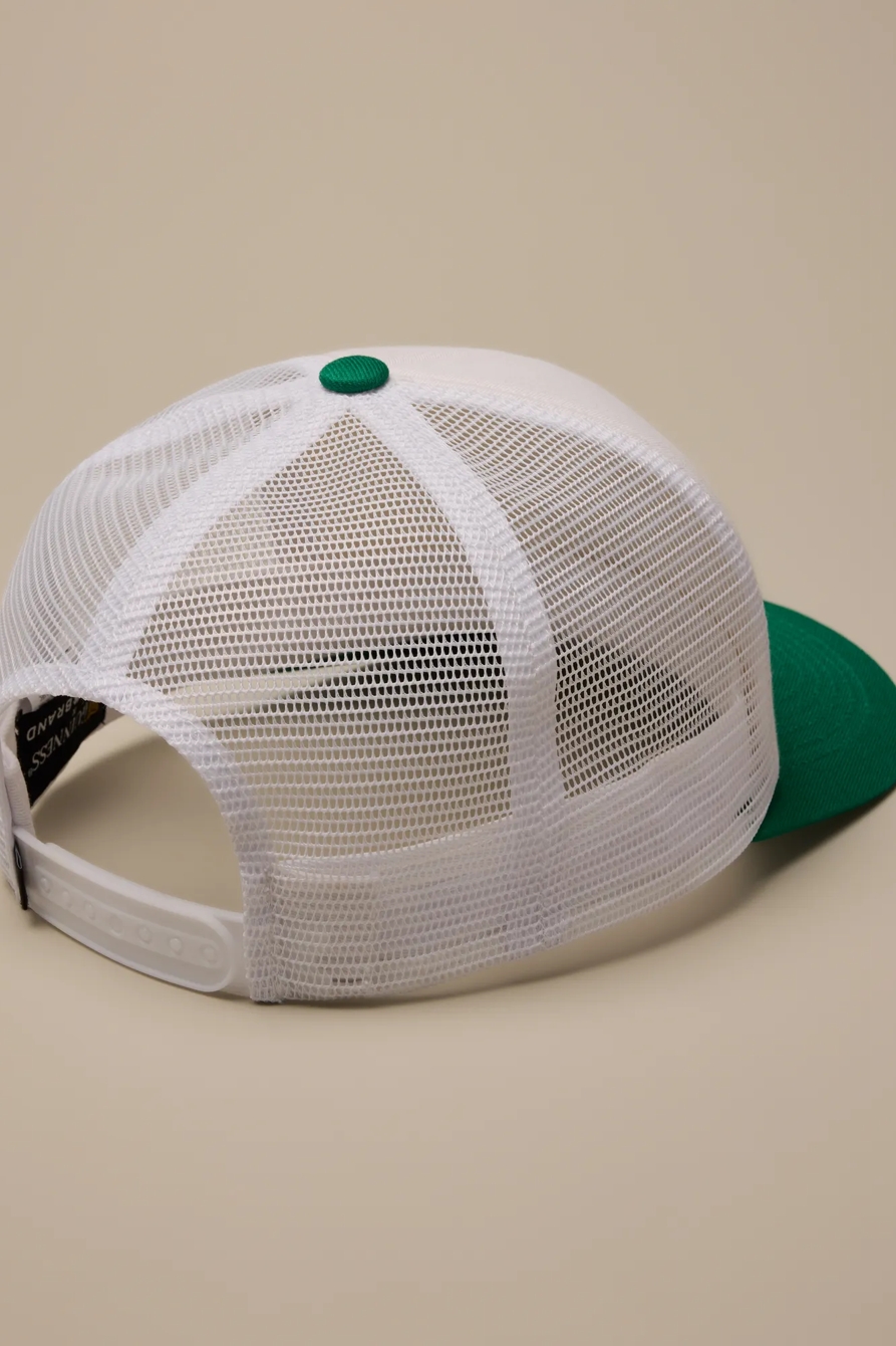 GUINNESS TRUCKER HAT — MULTI — image 2