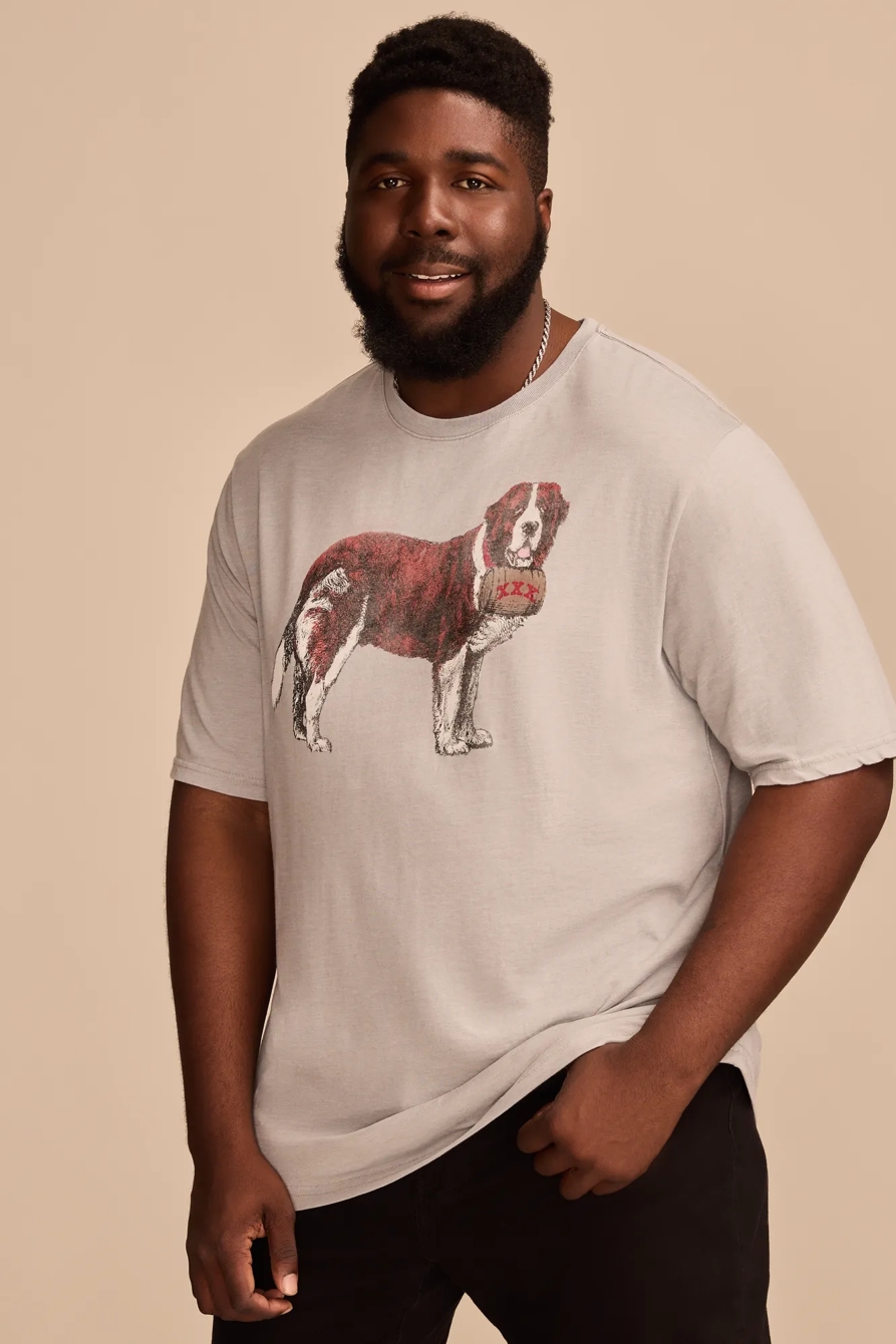 BIG & TALL ST BERNARD TEE — LIMESTONE — image 1