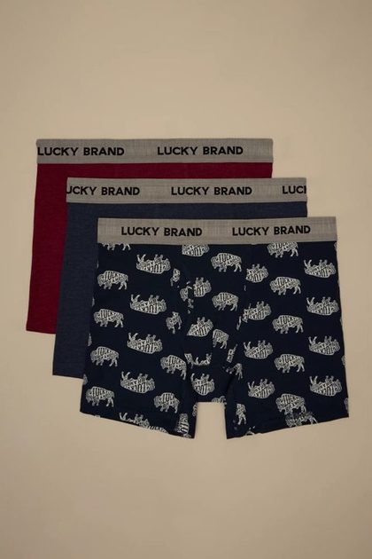 3 PACK BOXER BRIEF, BUFFALO PRINT